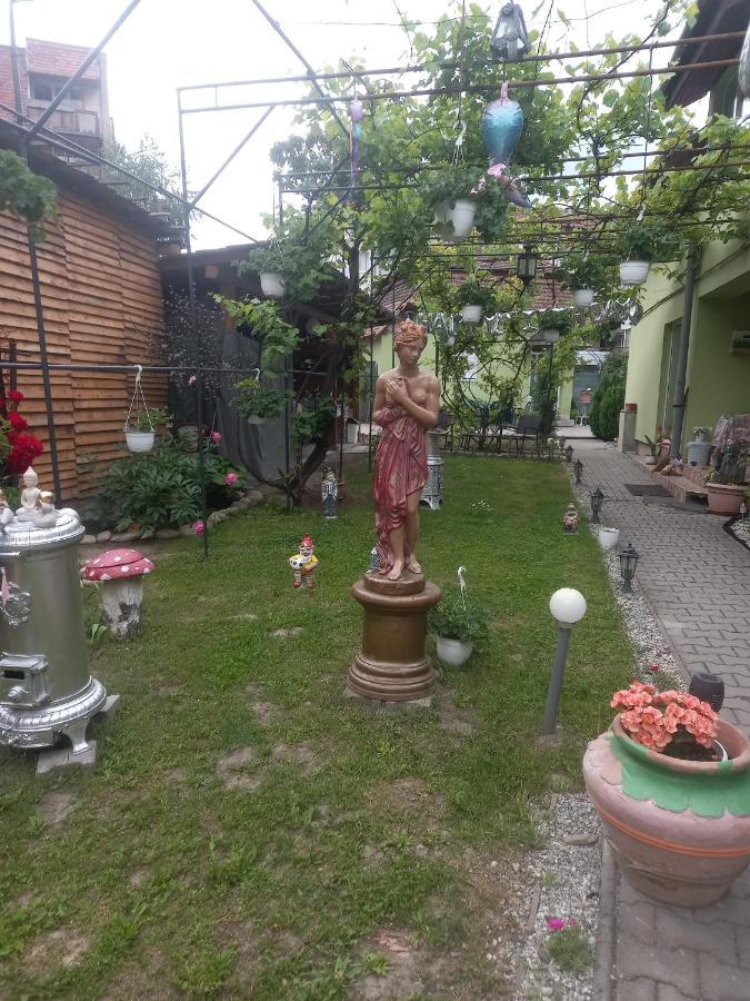 Ferienwohnung Casa Elena Sighişoara Exterior foto