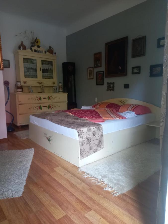 Ferienwohnung Casa Elena Sighişoara Exterior foto