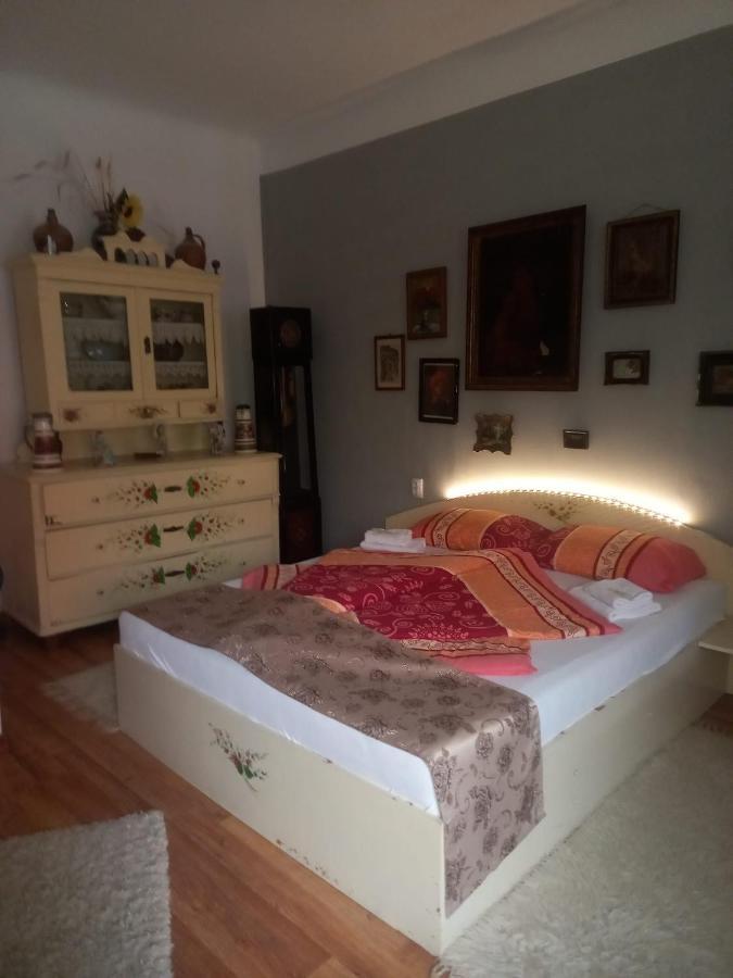Ferienwohnung Casa Elena Sighişoara Exterior foto