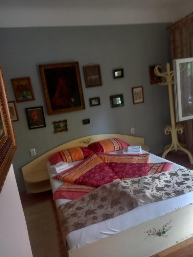 Ferienwohnung Casa Elena Sighişoara Exterior foto